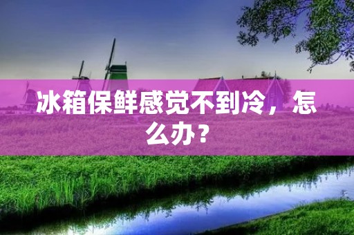 冰箱保鲜感觉不到冷,怎么办? 冰箱保鲜感觉不到冷,怎么办?