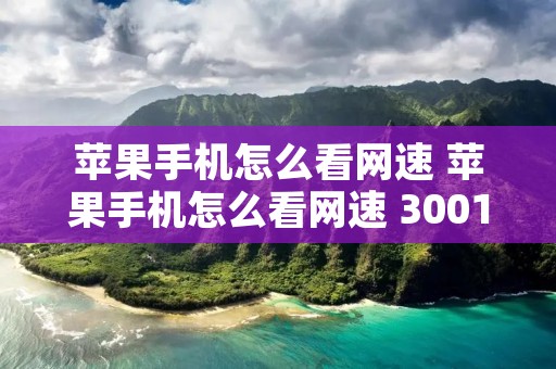 苹果手机怎么看网速 苹果手机怎么看网速 3001