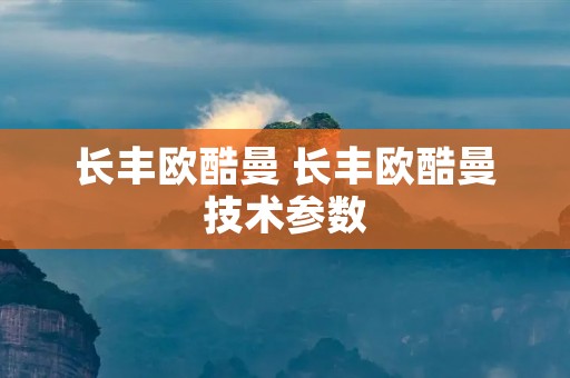 长丰欧酷曼 长丰欧酷曼技术参数