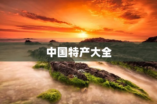中国特产大全:探寻中国的美食宝藏