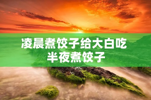 凌晨煮饺子给大白吃 半夜煮饺子