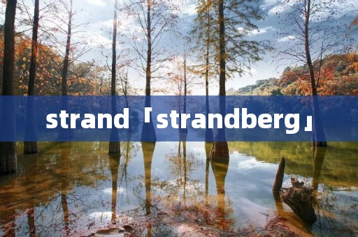 strand「strandberg」 strand「strandberg」