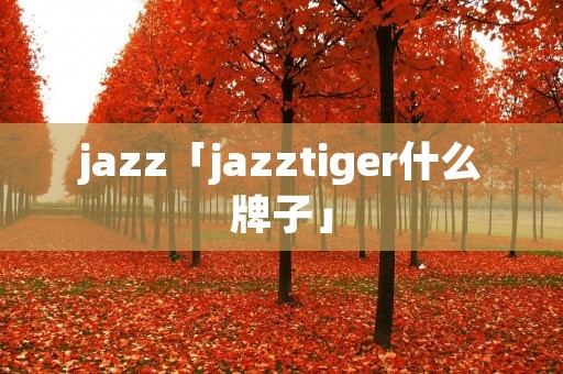 jazz「jazztiger什么牌子」 jazz「jazztiger什么牌子」