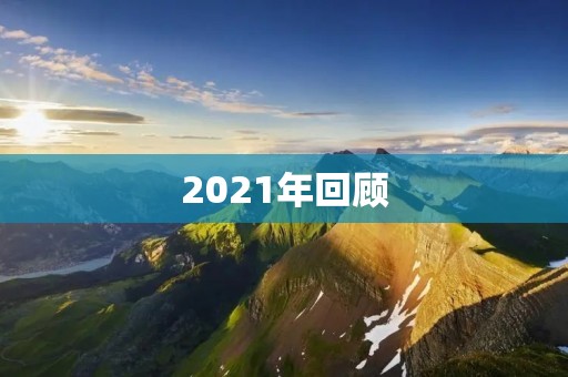 2021年回顾:坚持不懈,勇往直前