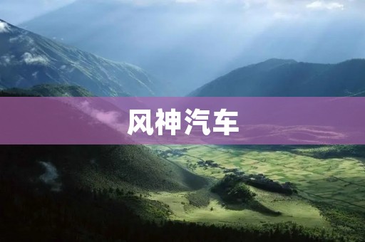 风神汽车：中国汽车行业的新贵