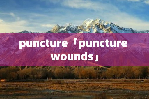 puncture「puncture wounds」