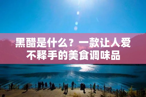 黑醋是什么?一款让人爱不释手的美食调味品 黑醋是什么?一款让人爱不释手的美食调味品
