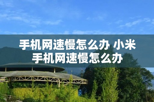 手机网速慢怎么办 小米手机网速慢怎么办 手机网速慢怎么办 小米手机网速慢怎么办