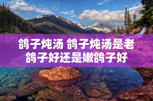 鸽子炖汤 鸽子炖汤是老鸽子好还是嫩鸽子好