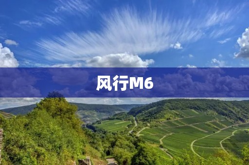 风行M6：一款能够满足你所有需求的智能车载娱乐系统