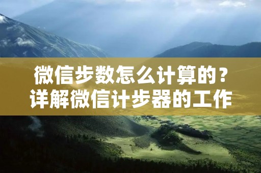 微信步数怎么计算的?详解微信计步器的工作原理 微信步数怎么计算的?详解微信计步器的工作原理