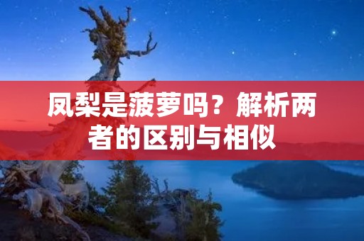 凤梨是菠萝吗?解析两者的区别与相似