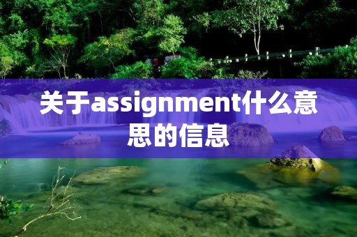 关于assignment什么意思的信息 关于assignment什么意思的信息