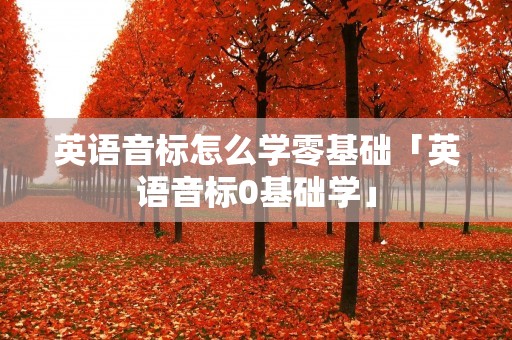 英语音标怎么学零基础「英语音标0基础学」