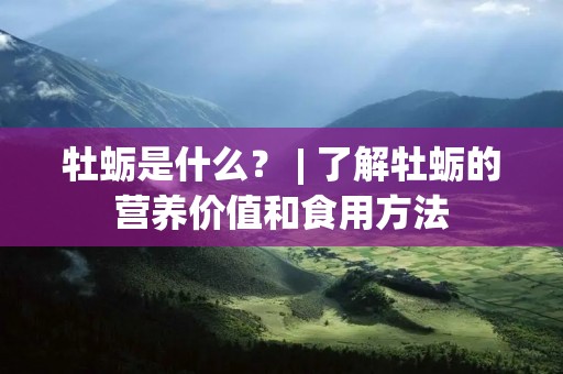 牡蛎是什么？ | 了解牡蛎的营养价值和食用方法