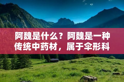 阿魏是什么?阿魏是一种传统中药材,属于伞形科植物,其根部是药用部位。阿魏根在中医药学中被用于治疗脾胃虚弱、食欲不振、恶心呕吐等症状。 阿魏是什么?阿魏是一种传统中药材,属于伞形科植物,其根部是药用部位。阿魏根在中医药学中被用于治疗脾胃虚弱、食欲不振、恶心呕吐等症状。