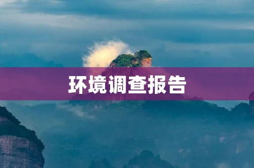 环境调查报告:某市区噪音污染情况