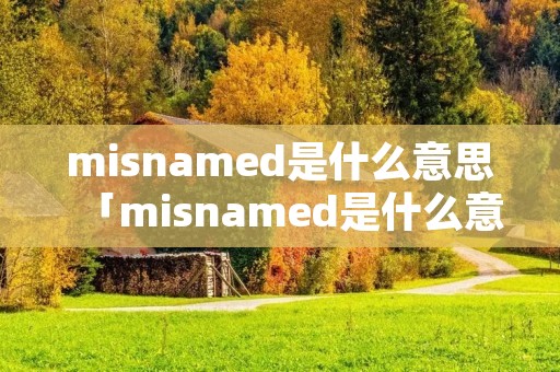 misnamed是什么意思「misnamed是什么意思中文」