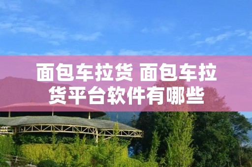 面包车拉货 面包车拉货平台软件有哪些