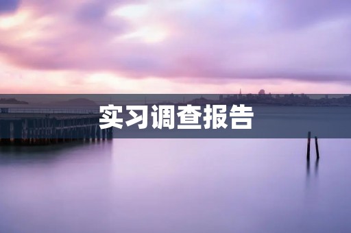 实习调查报告:大学生实习体验调查