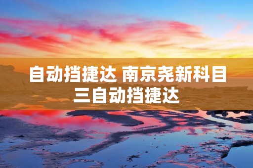 自动挡捷达 南京尧新科目三自动挡捷达
