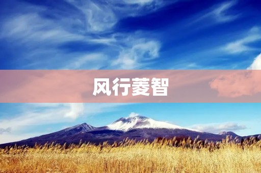 风行菱智:一款智能出行的新选择 风行菱智:一款智能出行的新选择