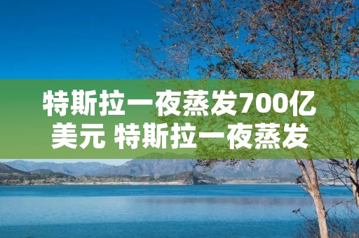 特斯拉一夜蒸发700亿美元 特斯拉一夜蒸发800亿美元l