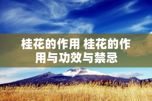 桂花的作用 桂花的作用与功效与禁忌