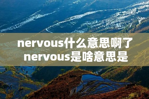 nervous什么意思啊了 nervous是啥意思是什么
