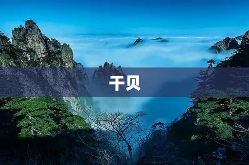干贝:海鲜中的珍品 干贝:海鲜中的珍品