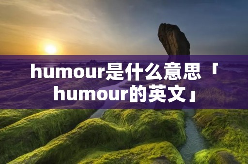 humour是什么意思「humour的英文」 humour是什么意思「humour的英文」