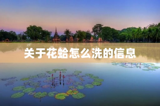 关于花蛤怎么洗的信息