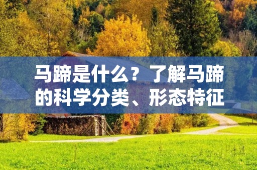 马蹄是什么?了解马蹄的科学分类、形态特征及其作用 马蹄是什么?了解马蹄的科学分类、形态特征及其作用