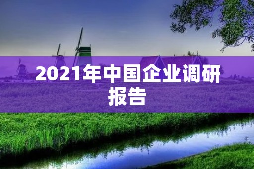 2021年中国企业调研报告