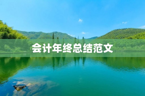 会计年终总结范文:砥砺前行,追求卓越