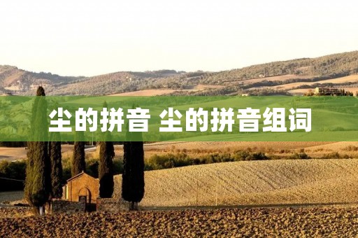 尘的拼音 尘的拼音组词