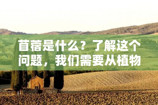 苜蓿是什么?了解这个问题,我们需要从植物的角度来看待这个问题。苜蓿是一种多年生草本植物,属于豆科植物,也称为紫花苜蓿。苜蓿的茎叶柔软,根系发达,具有高度的抗逆性和适应性,是一种广泛分布于全球的优良饲草。下面我们来详细地了解一下苜蓿的生长习性、形态特征以及其在饲料生产中的应用。 苜蓿是什么?了解这个问题,我们需要从植物的角度来看待这个问题。苜蓿是一种多年生草本植物,属于豆科植物,也称为紫花苜蓿。苜蓿的茎叶柔软,根系发达,具有高度的抗逆性和适应性,是一种广泛分布于全球的优良饲草。下面我们来详细地了解一下苜蓿的生长习性、形态特征以及其在饲料生产中的应用。