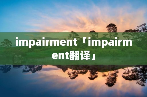 impairment「impairment翻译」