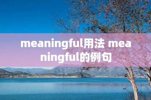 meaningful用法 meaningful的例句
