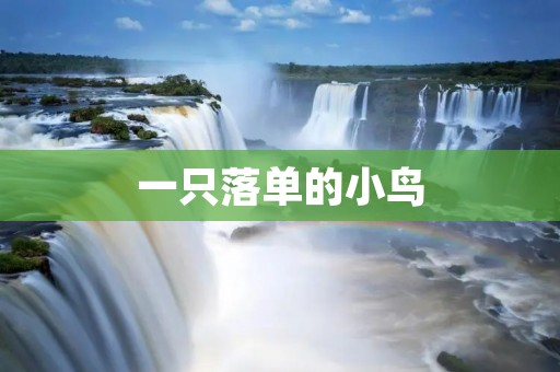 一只落单的小鸟