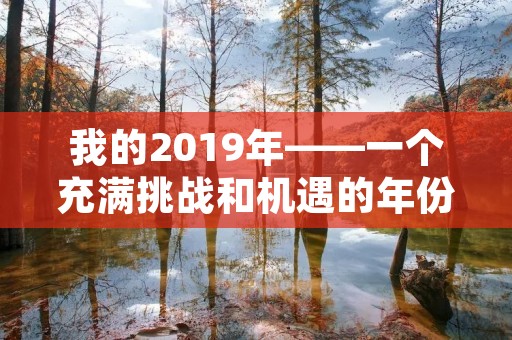 我的2019年——一个充满挑战和机遇的年份 我的2019年——一个充满挑战和机遇的年份