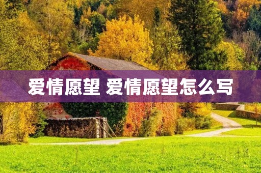 爱情愿望 爱情愿望怎么写
