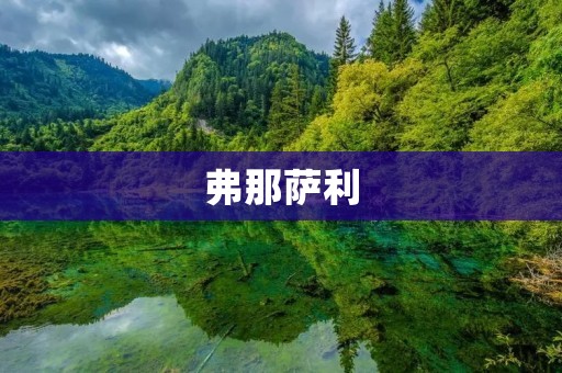 弗那萨利：一座充满历史与文化的城市