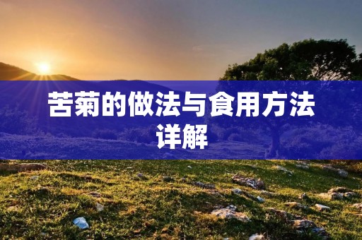 苦菊的做法与食用方法详解 苦菊的做法与食用方法详解