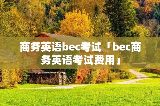 商务英语bec考试「bec商务英语考试费用」