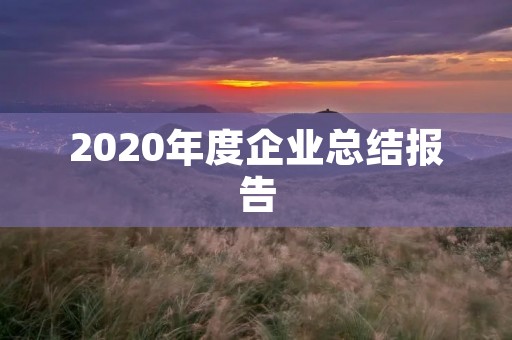 2020年度企业总结报告