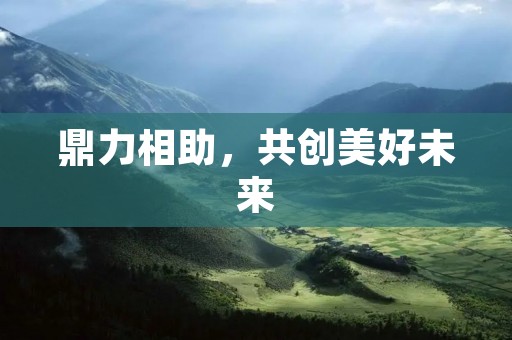 鼎力相助,共创美好未来