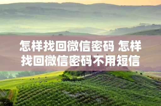 怎样找回微信密码 怎样找回微信密码不用短信验证