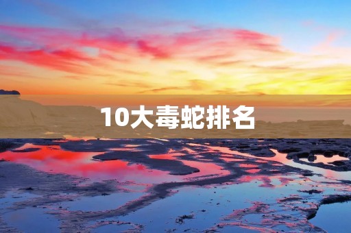 10大毒蛇排名:让你了解世界上最危险的蛇类 10大毒蛇排名:让你了解世界上最危险的蛇类