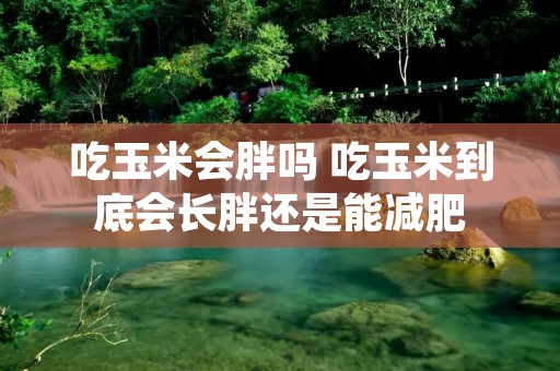 吃玉米会胖吗 吃玉米到底会长胖还是能减肥